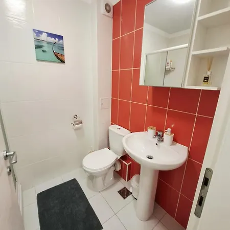 Pallady * Βουκουρέστι