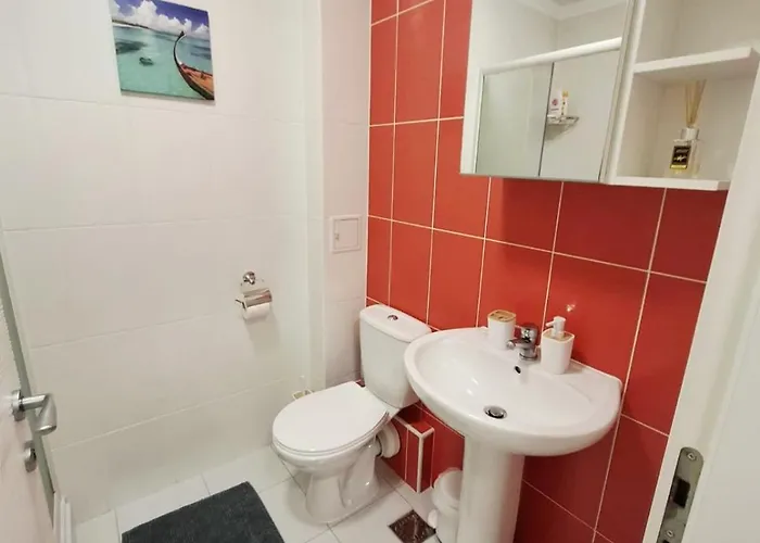 Pallady * 부쿠레슈티